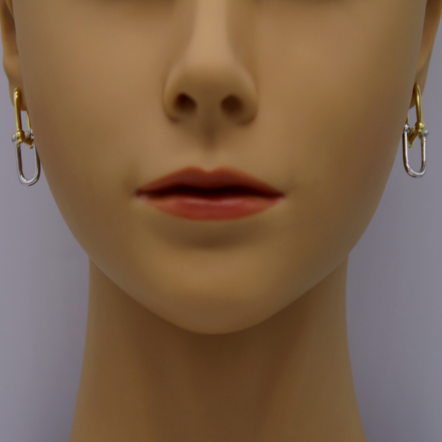 Double Link Earrings